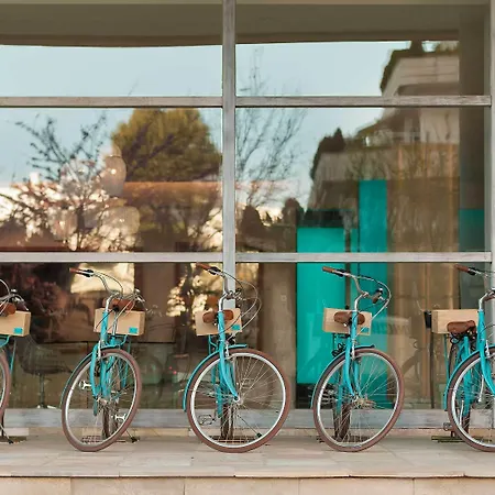 Amare - Adults Only Recommended