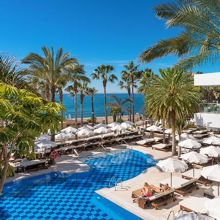 Amare - Adults Only Recommended 4*