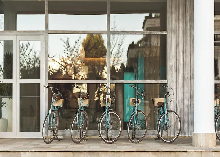 Amare - Adults Only Recommended