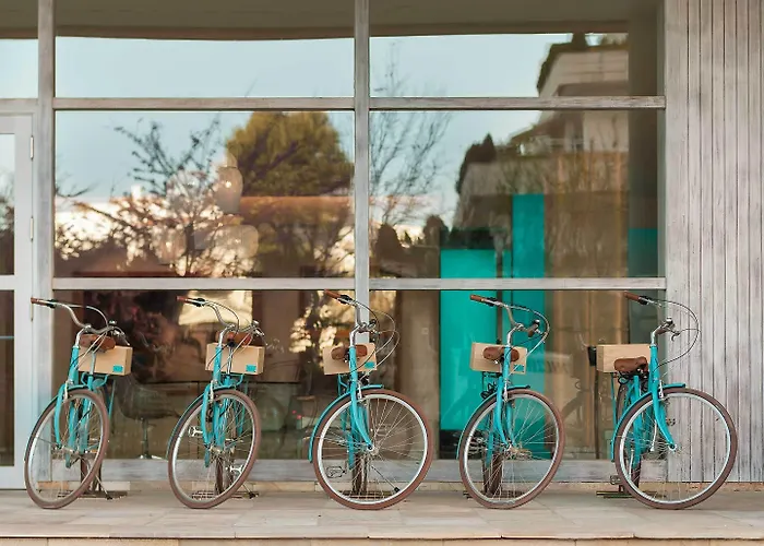 Amare - Adults Only Recommended