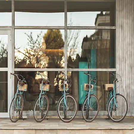 Amare - Adults Only Recommended